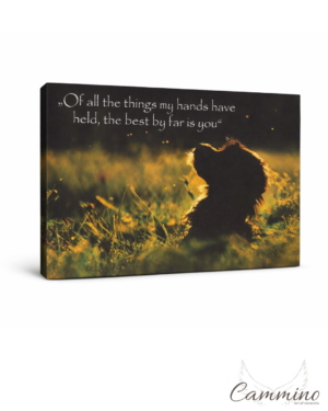 Of all.. - Hund