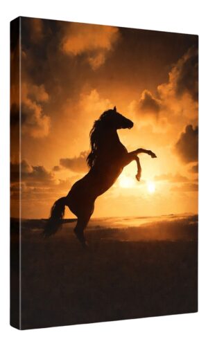 Steigendes Pferd