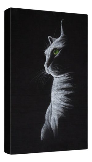 Katze s/w